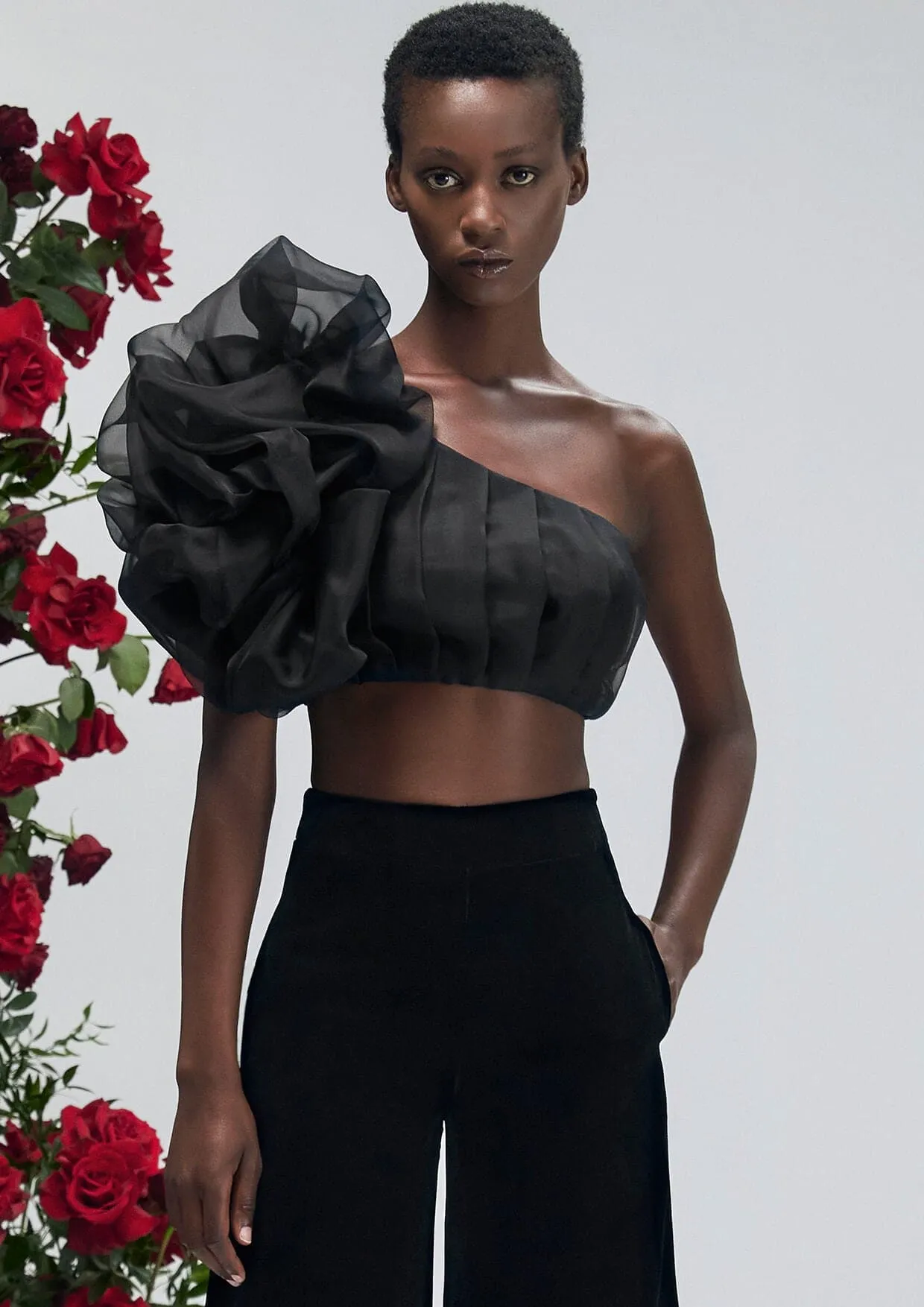 Dahlia Noir Asymmetrical Silk Organza Crop Top