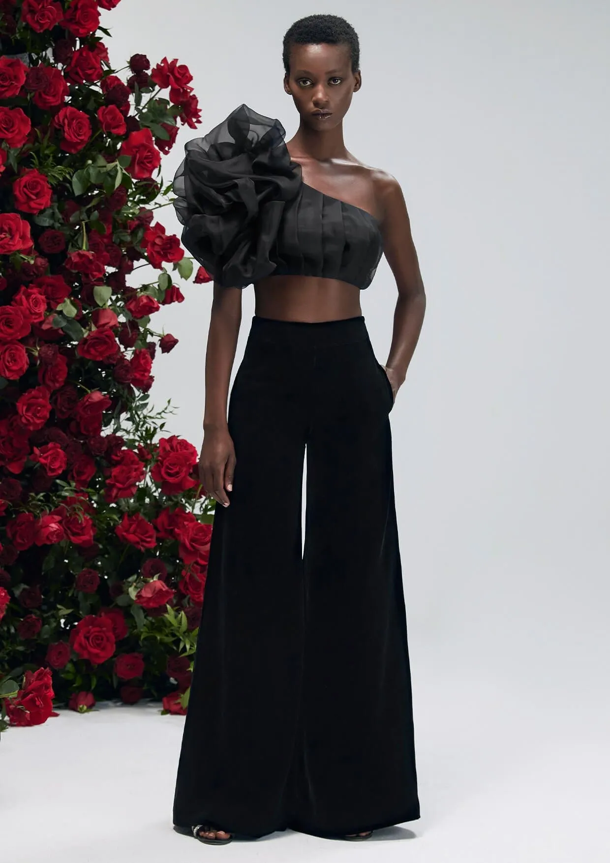 Dahlia Noir Asymmetrical Silk Organza Crop Top