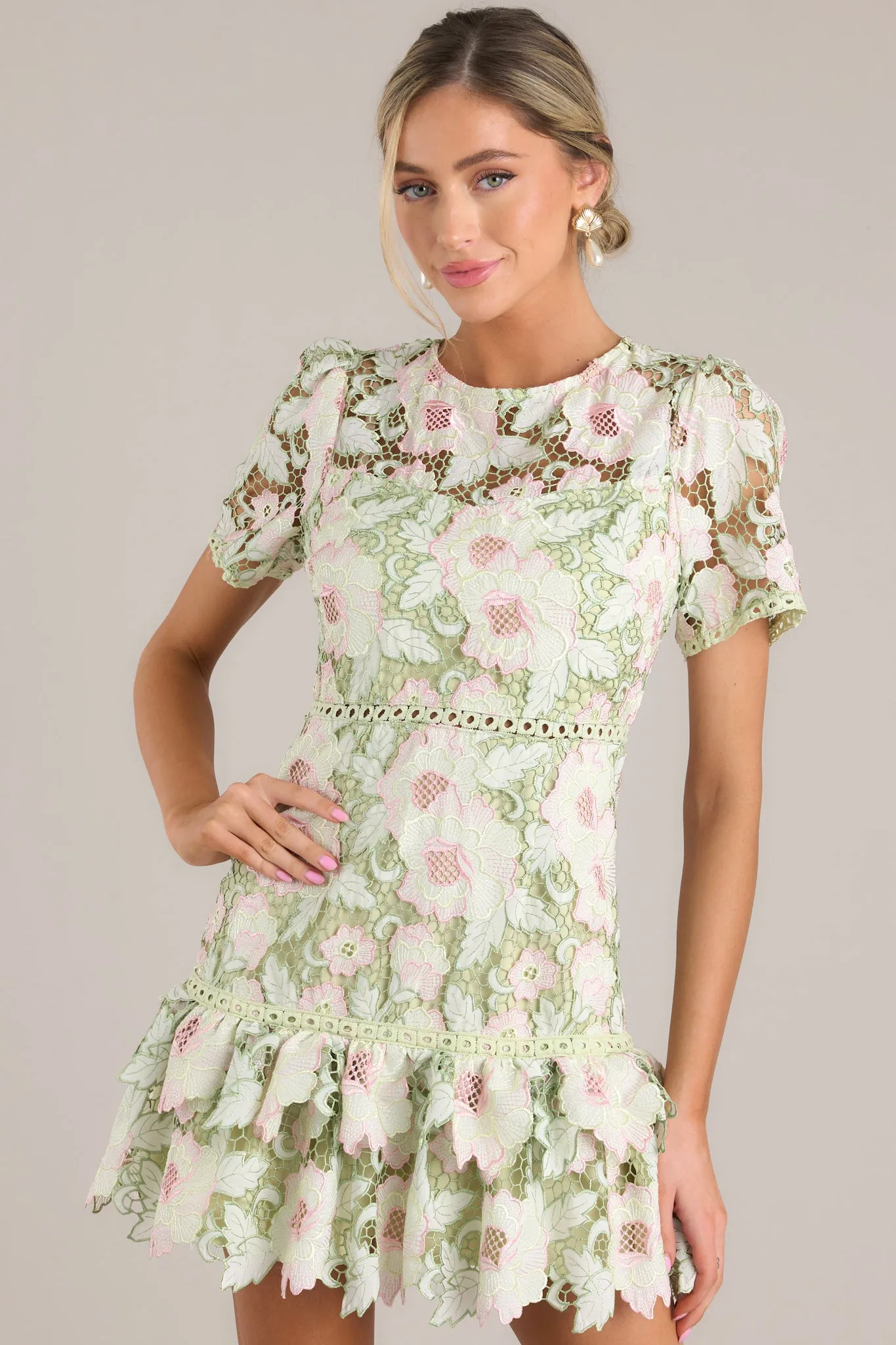 Soft Sophistication Light Green Floral Embroidered Mini Dress